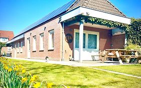 Rooi Bij De Knoptoren